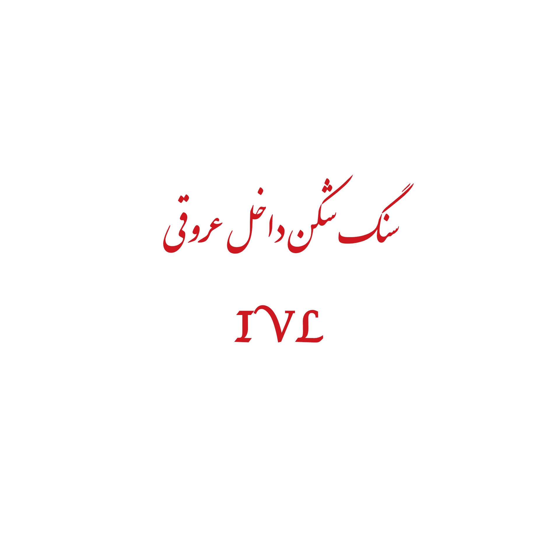 InShot_20250504_124907281